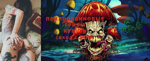 твердый Абинск