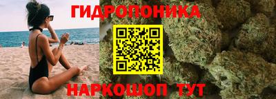 крисы Азнакаево