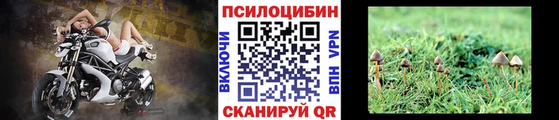 Галлюциногенные грибы мухоморы  продажа наркотиков  Альметьевск 