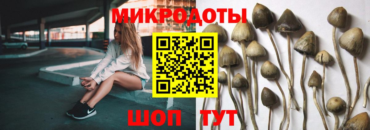 Альметьевск  Галлюциногенные грибы Psilocybine cubensis  Псилоцибиновые грибы Cubensis  Вход с VPN 